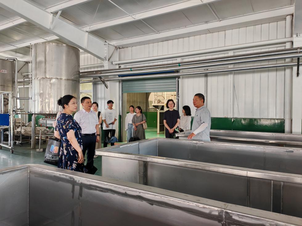 區(qū)政協(xié)組織暑期社會(huì)實(shí)踐大學(xué)生開展技術(shù)咨詢與紅色教育活動(dòng)